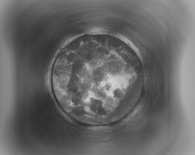 X0000101461429200807280950