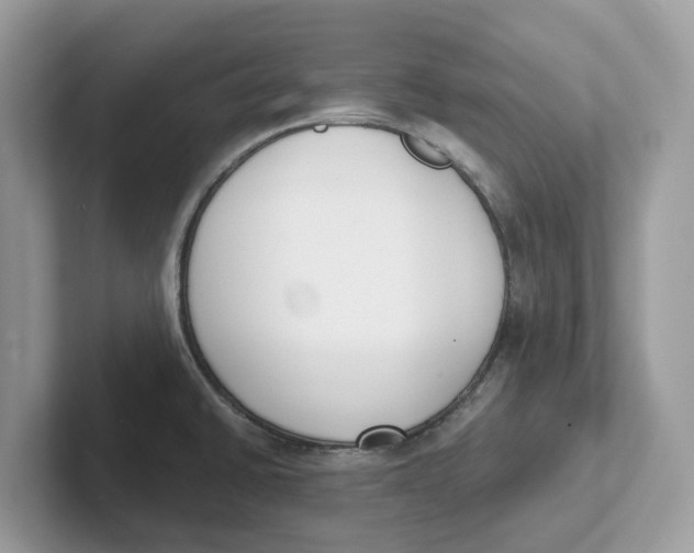 X0000101461430200807280950