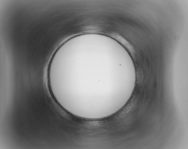 X0000101461431200807280950