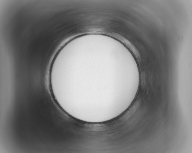 X0000101461432200807280950