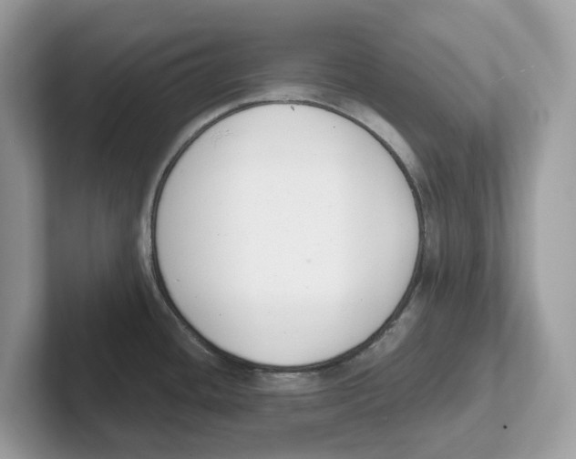 X0000101461436200807280950