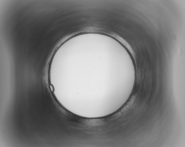 X0000101461437200807280950