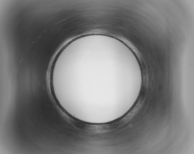 X0000101461438200807280950