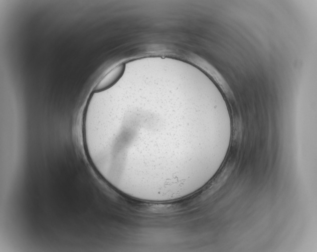 X0000101461439200807280950