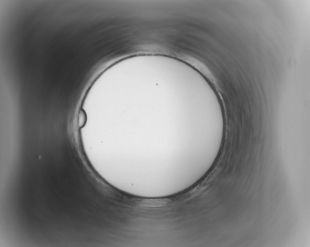 X0000101461440200807280950