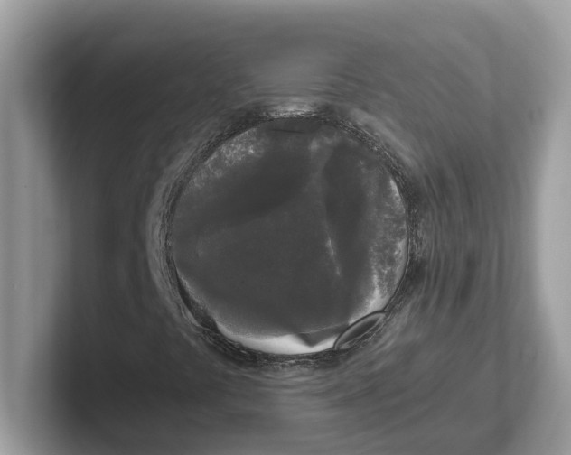 X0000101461441200807280950