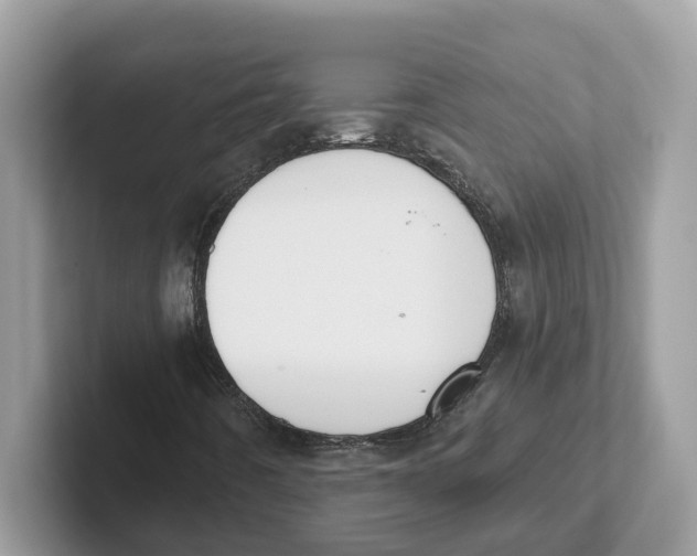 X0000101461442200807280950