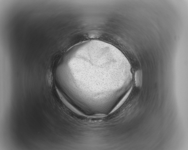 X0000101461443200807280950