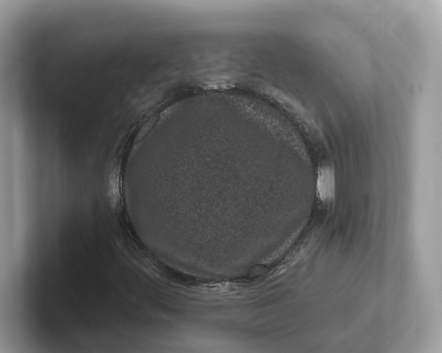 X0000101461444200807280950