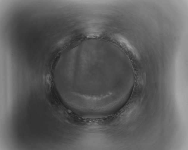 X0000101461445200807280950