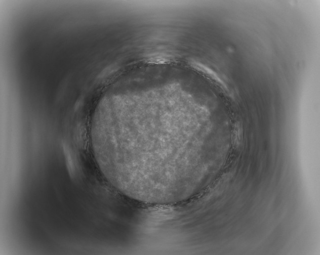 X0000101461446200807280950