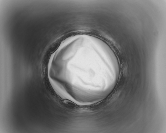 X0000101461448200807280950