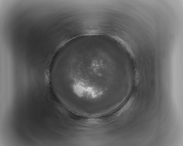 X0000101461449200807280950