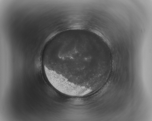 X0000101461450200807280950