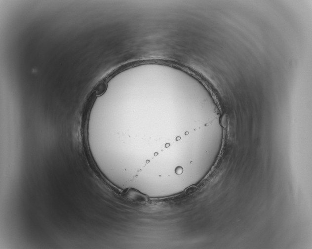 X0000101461452200807280950