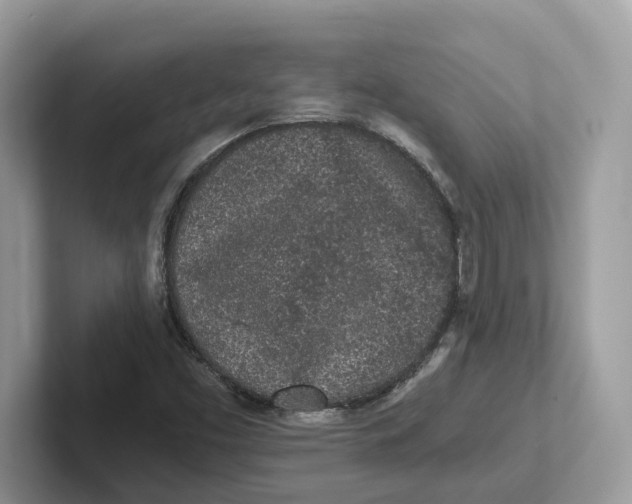 X0000101461453200807280950