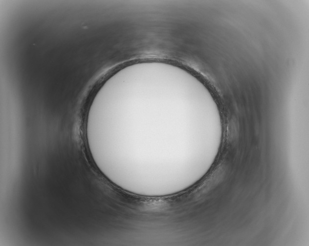 X0000101461454200807280950