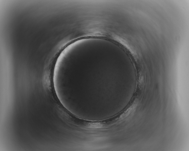 X0000101461455200807280950