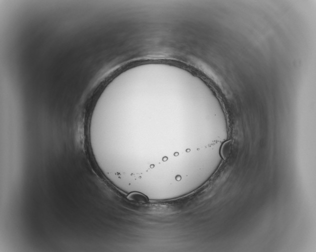 X0000101461456200807280950