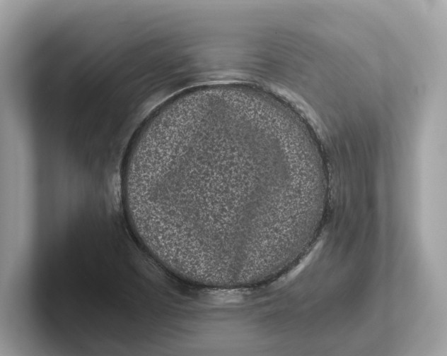 X0000101461457200807280950