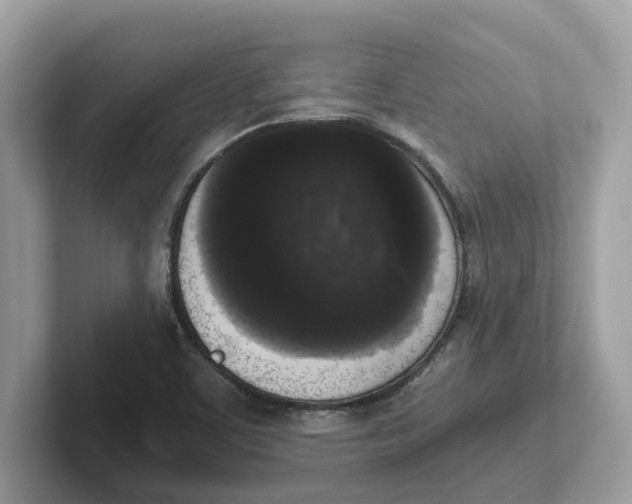 X0000101461459200807280950