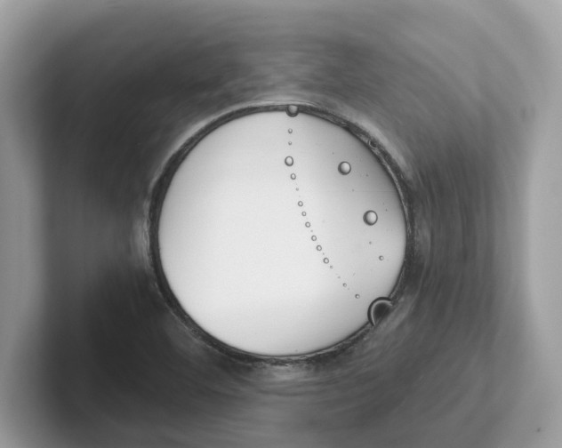 X0000101461460200807280950