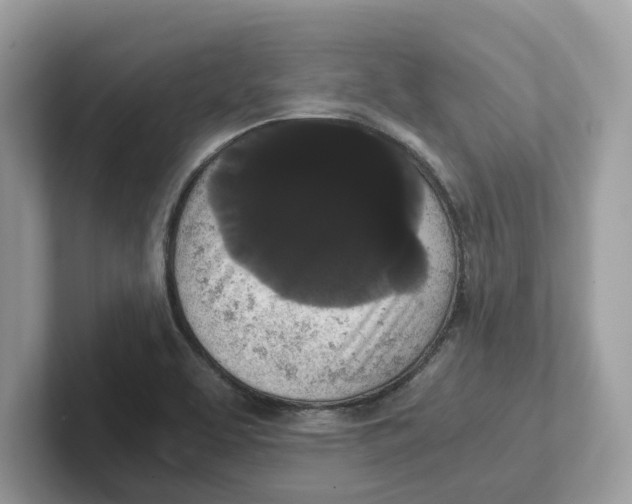 X0000101461463200807280949