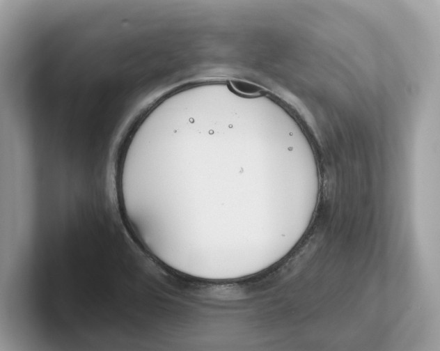 X0000101461464200807280949