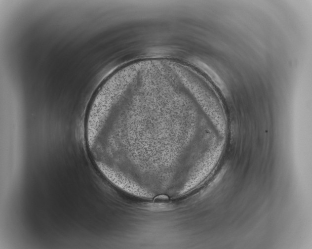 X0000101461465200807280949