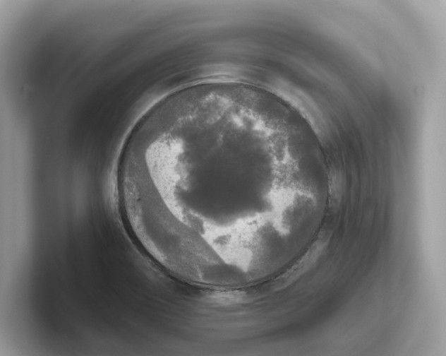 X0000101461466200807280949