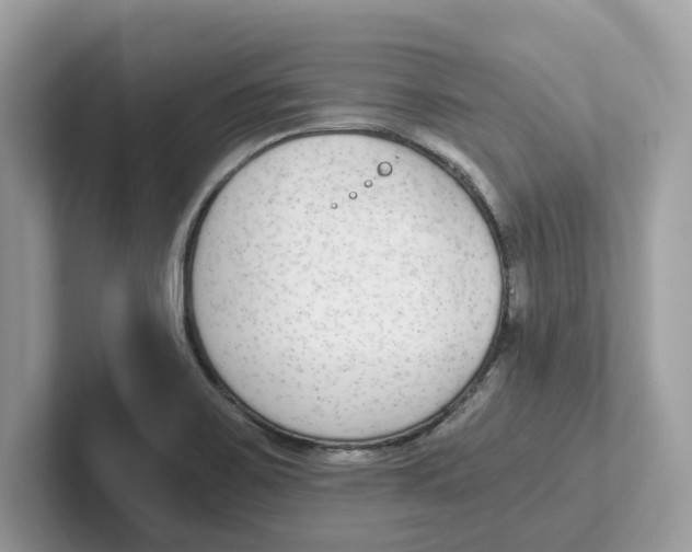 X0000101461467200807280949