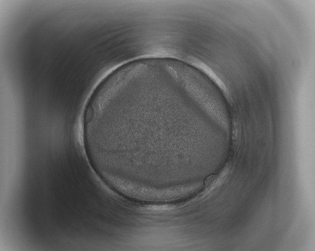 X0000101461468200807280949