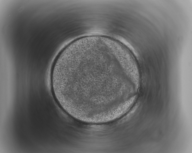 X0000101461469200807280949