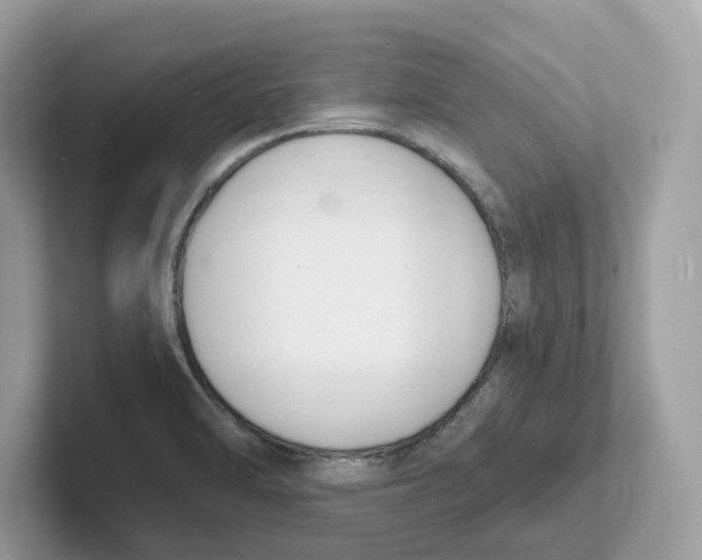 X0000101461470200807280949