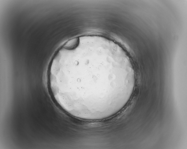 X0000101461471200807280949