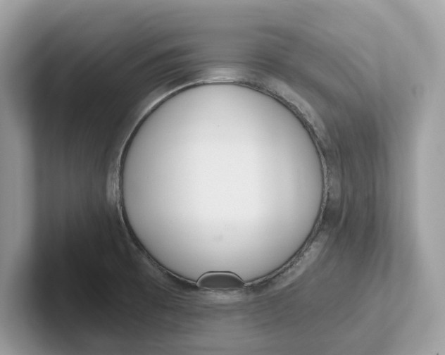 X0000101461473200807280949