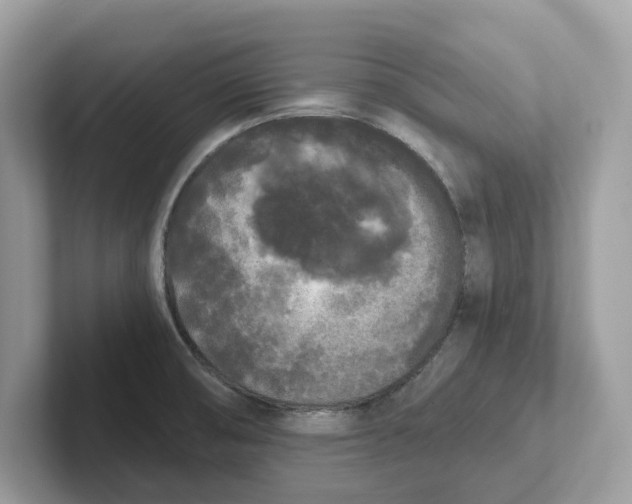 X0000101461474200807280949