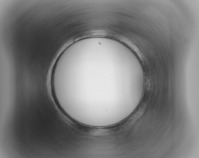 X0000101461475200807280949