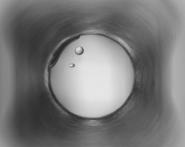 X0000101461476200807280949