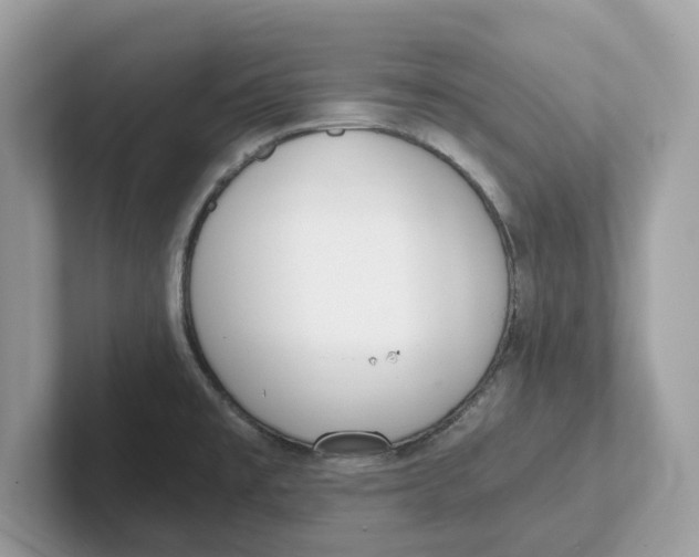 X0000101461477200807280949