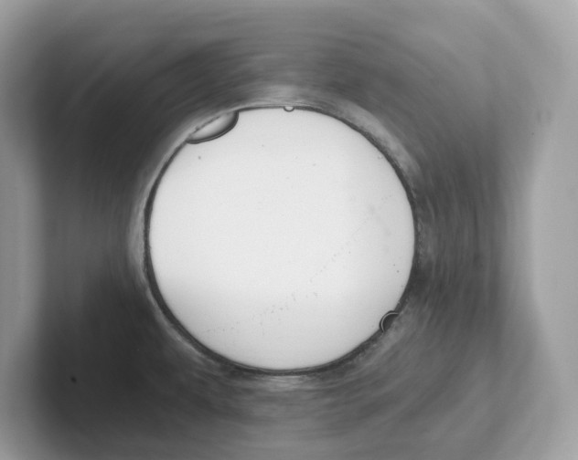 X0000101461479200807280949