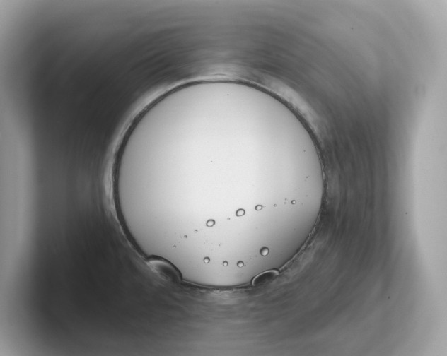 X0000101461480200807280949