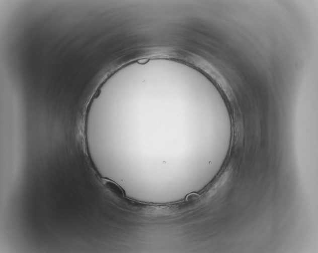 X0000101461481200807280949