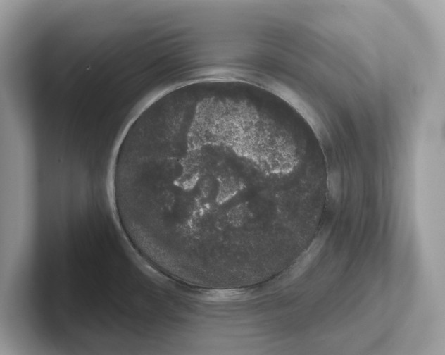 X0000101461482200807280949