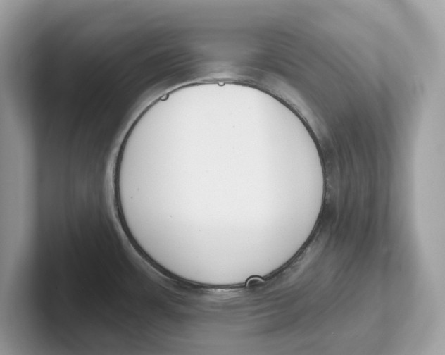 X0000101461483200807280949