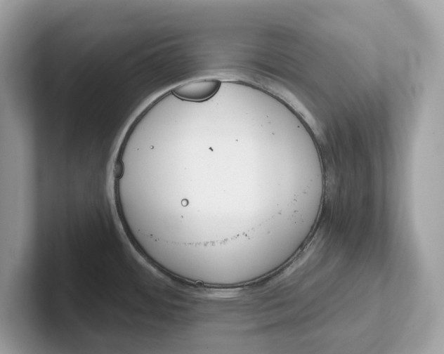 X0000101461484200807280949