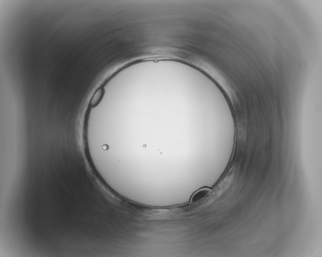 X0000101461485200807280949