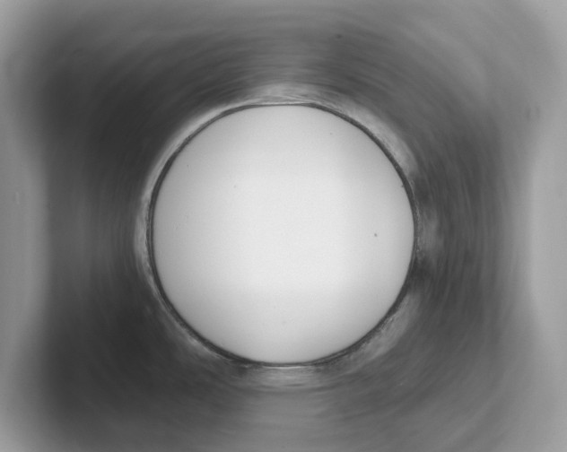 X0000101461486200807280949