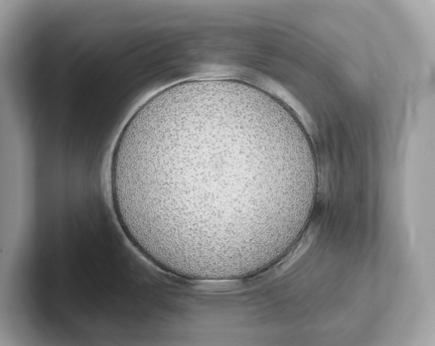 X0000101461487200807280949