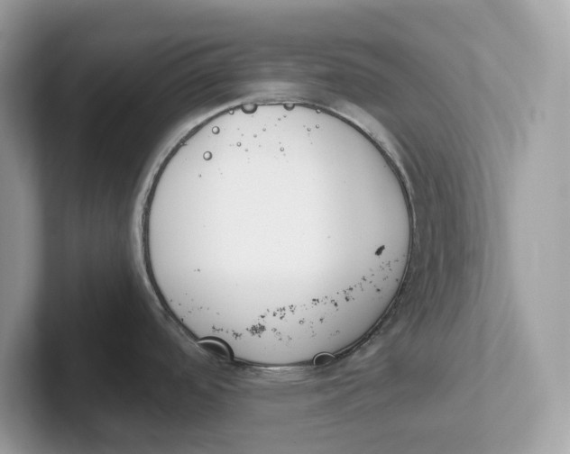 X0000101461488200807280949